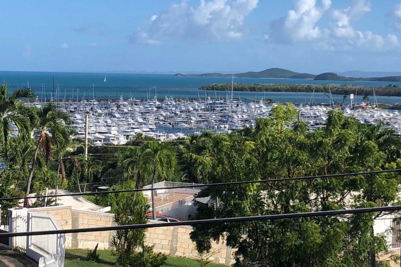 Peaceful Puerto Rico Paradise With Views And Balcony Fajardo Eksteriør bilde